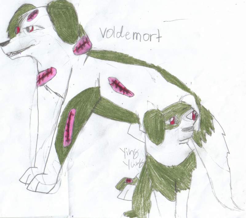 vodemort and his sista