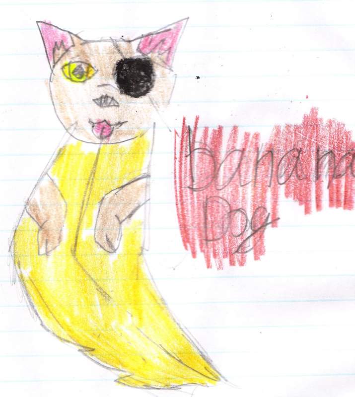 rendom dog banana thing
