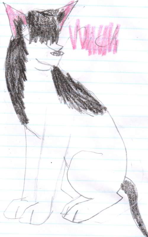 nick i drew him YAY ^_^