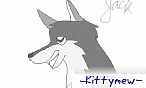 -Kittymew-