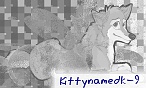 kittynamedk-9