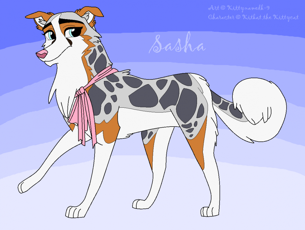 Sashaaaaaa 