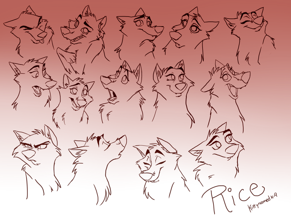 Facial Expressions practice
