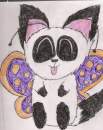 Kiwi butterfly!!