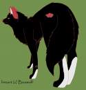 Akatsuki Wolf