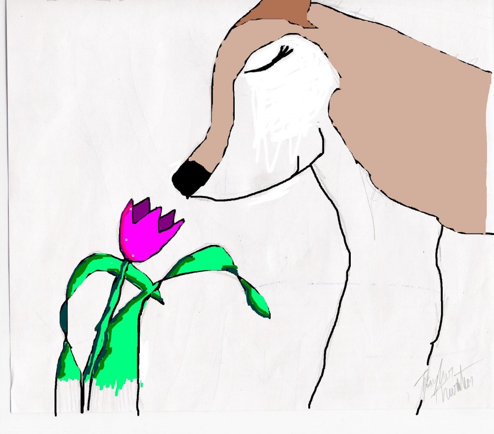 Aleu