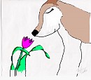 Aleu
