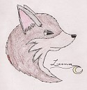 Luna's Head