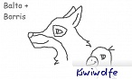 kiwiwolfe
