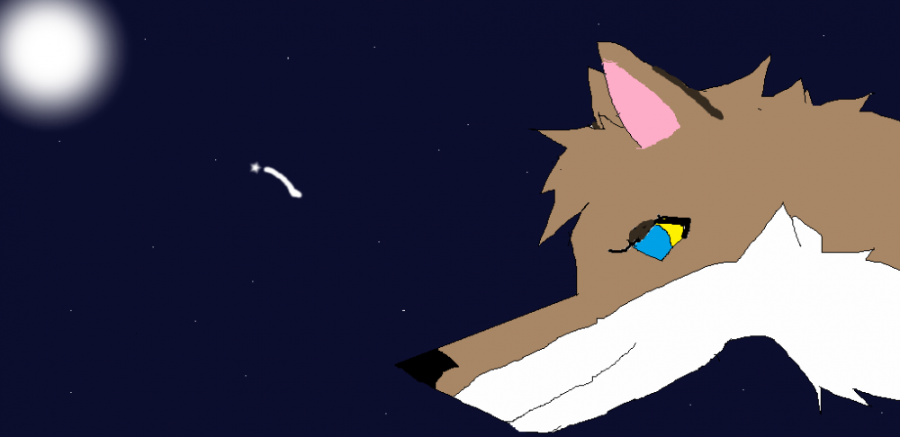 Thanks Moon 