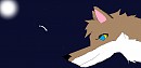 Thanks Moon 
