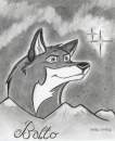 BALTO HERO