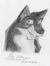 BALTO