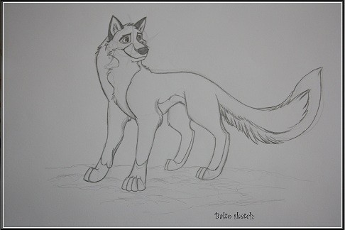 Balto sketch