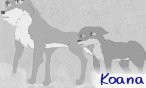 koana