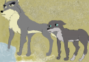   Nava and Sheba