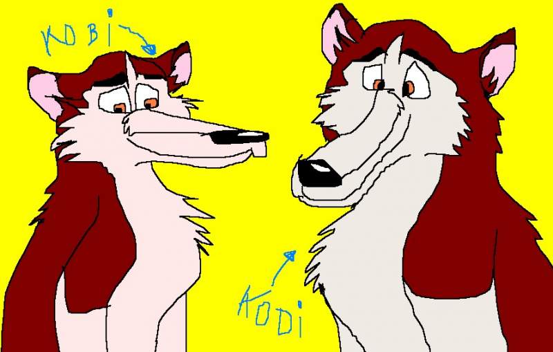 kobi and kodi
