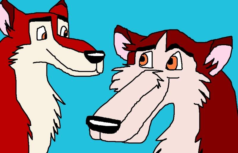 kodi and his brother dingo