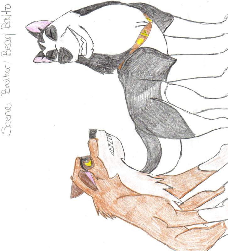 sketch of Balto and Steele