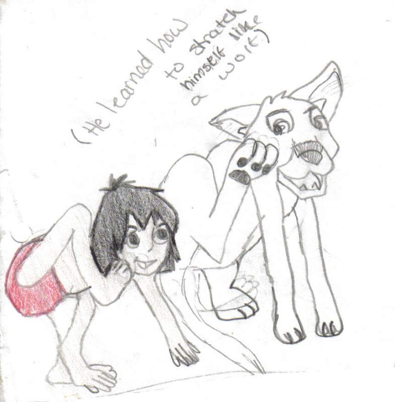 Mowgli's teaching