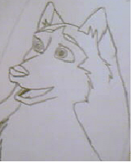 Saba doodle
