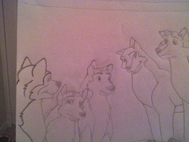 Secret Dog meeting