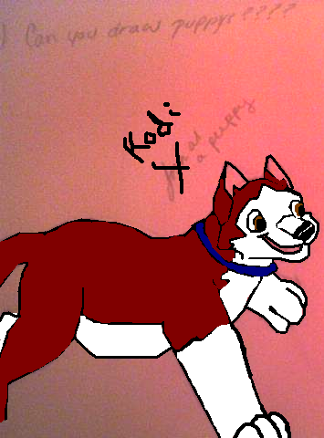 Kodi as a Puppy