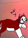 Kodi as a Puppy