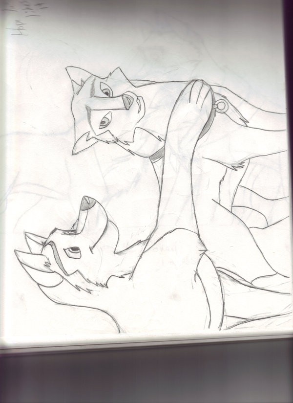 Kodi and Dusty request