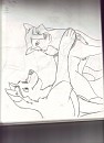 Kodi and Dusty request