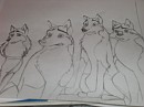 Balto Pups