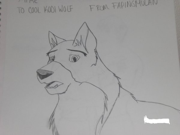 Mike for Cool Kodi Wolf