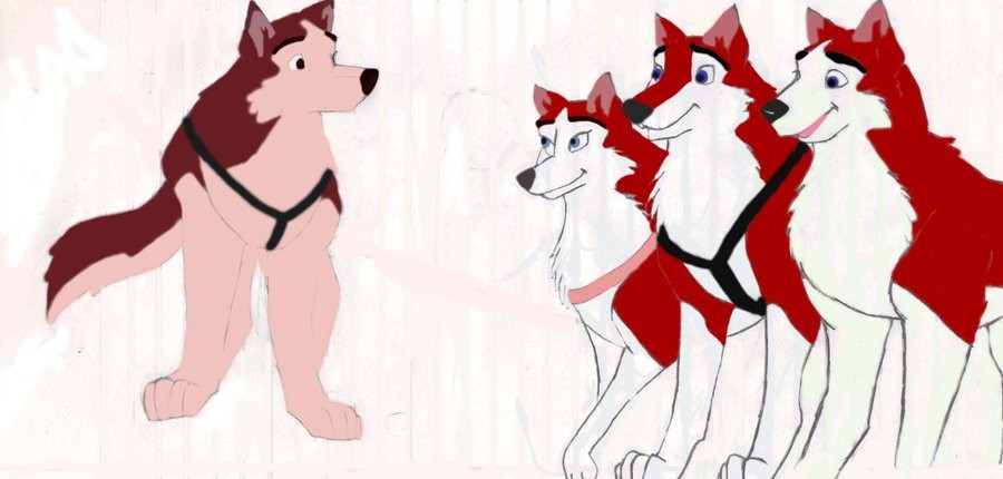 Kodi, Saba, Red Aleu Twin, and Dingo