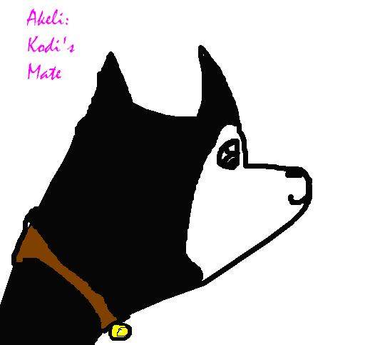 Akeli Kodi's Mate