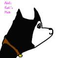 Akeli Kodi's Mate