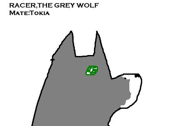 Racer Tokia's mate