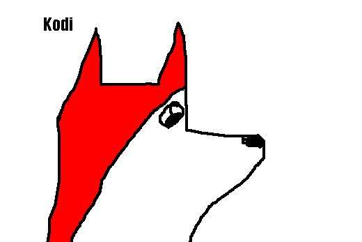 Kodi!