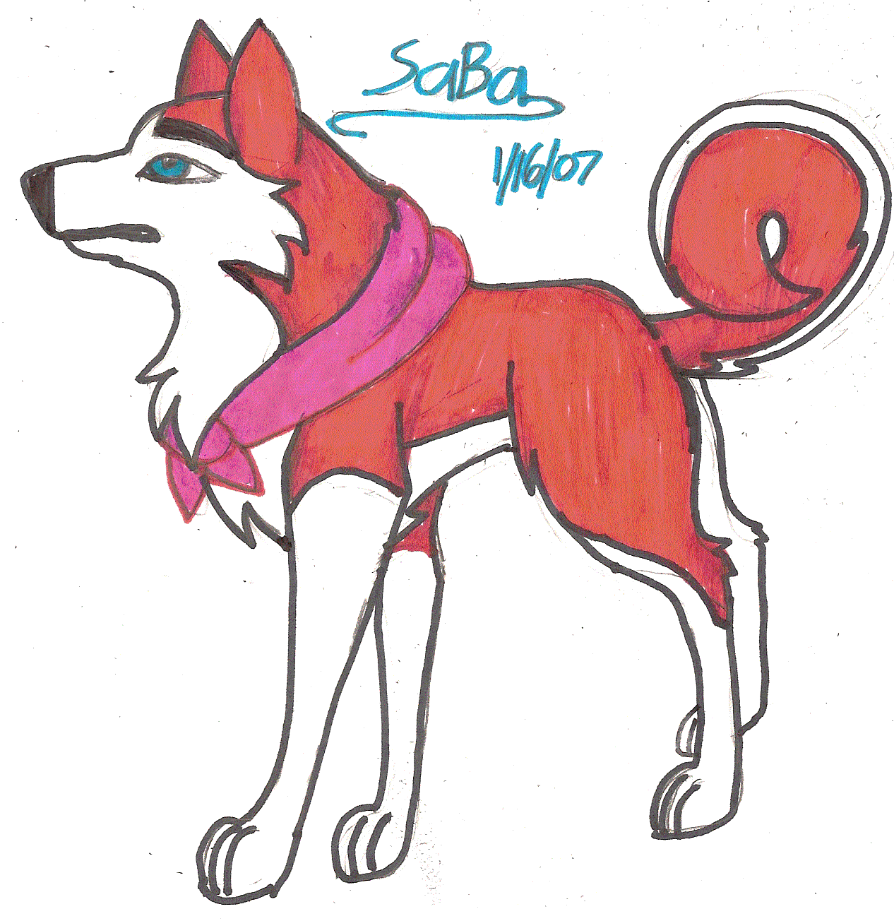 Kodi~Husky