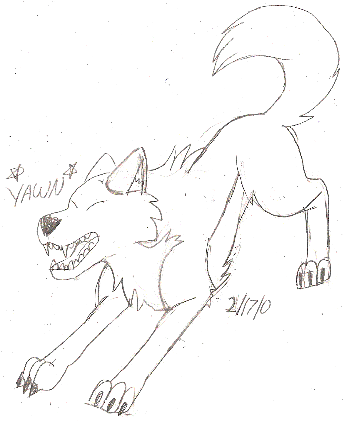 Kodi~Husky