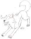 Kodi~Husky