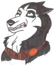 Kodi~Husky