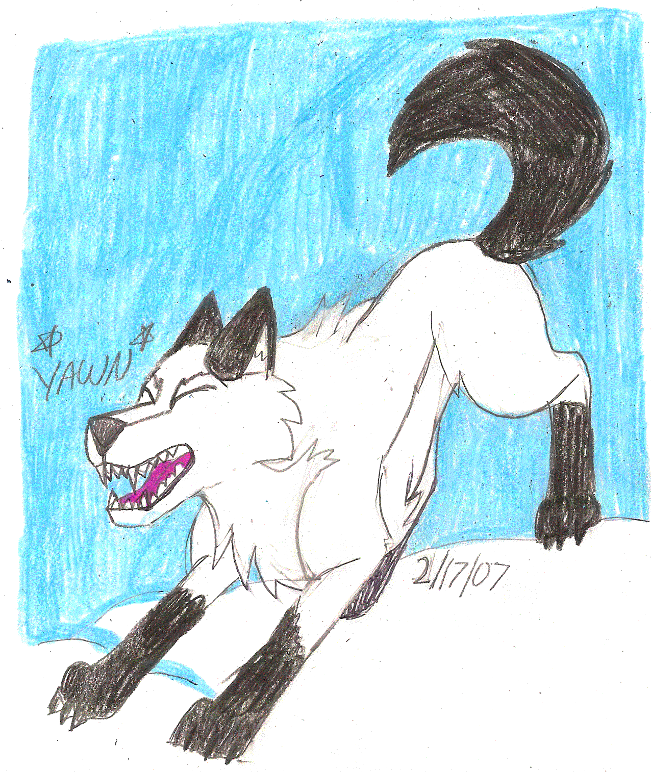 Kodi~Husky