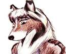 coyotek 1
