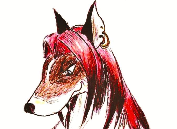coyotek 3