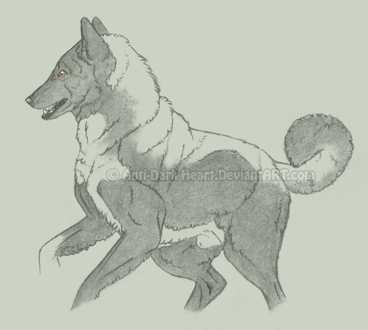 Lyon Sketch
