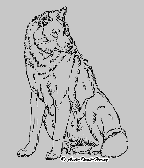 Eurasian Wolf Lineart