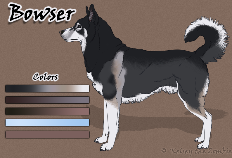 Bowser Character Sheet