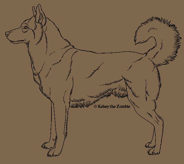 Free Husky Lineart