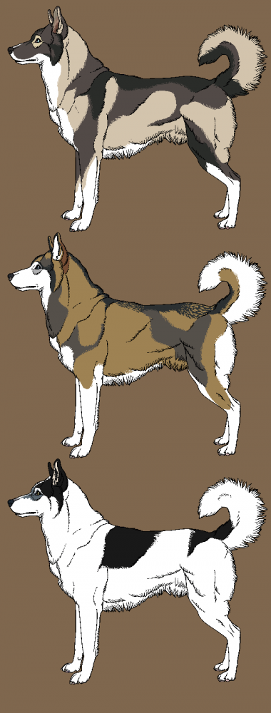 Realistic Husky Adoptables
