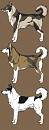 Realistic Husky Adoptables